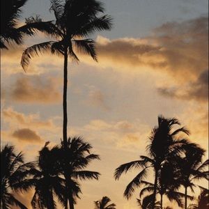 Meet your Posher, Morgan